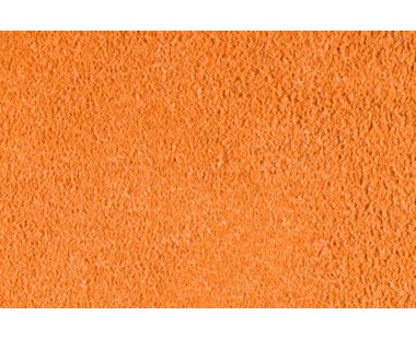 Festive Orange